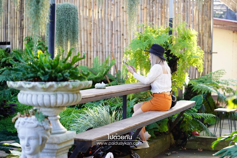 คาเฟ่ลพบุรี, เที่ยวคาเฟ่ลพบุรี, เที่ยวลพบุรี, ลพบุรี, ร้านอาหารลพบุรี, ร้านกาแฟลพบุรี, top 15+ คาเฟ่ลพบุรี สายชิค สายธรรมชาติ ต้องมาโดน