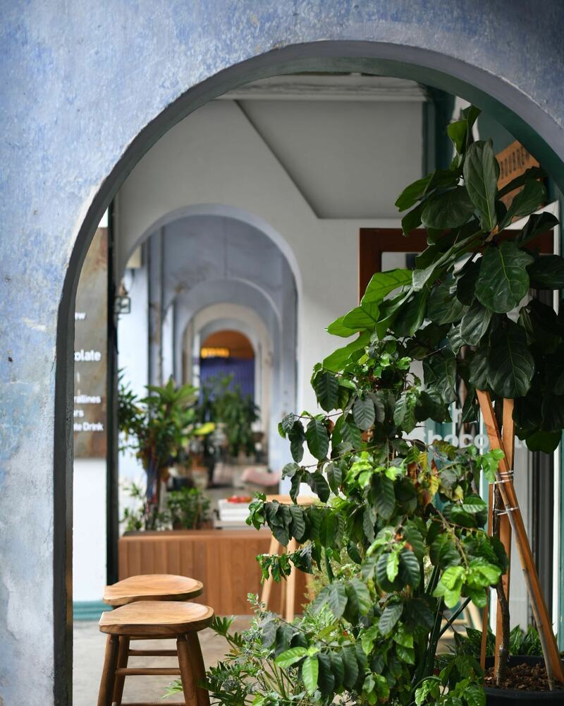 top 15+ คาเฟ่ภูเก็ตบรรยากาศดี : มีวิวทะเล ระวังพลาด ถ้าไม่มา!!