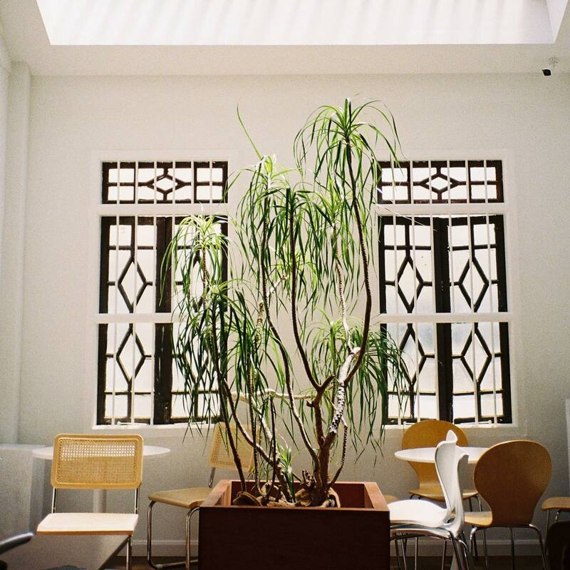 top 15+ คาเฟ่ภูเก็ตบรรยากาศดี : มีวิวทะเล ระวังพลาด ถ้าไม่มา!!