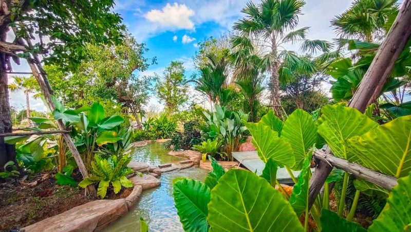 คาเฟ่นครปฐม, เที่ยวนครปฐม, เที่ยวนครปฐมวันเดียว, ร้านกาแฟนครปฐม, ร้านกาแฟนครปฐมริมน้ำ, top 30+ คาเฟ่นครปฐม ถ่ายรูปเช็คอินสุดเก๋ ทั้งในตัวเมือง ริมน้ำ