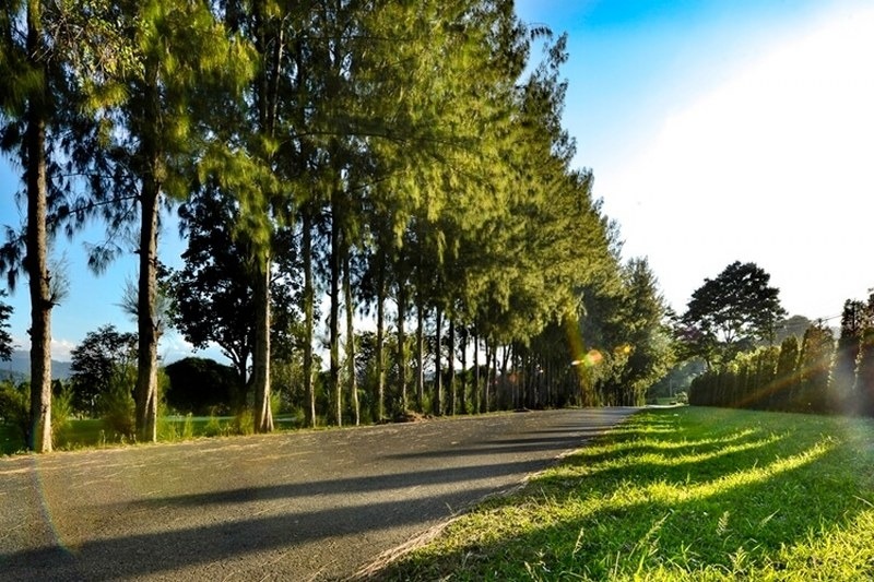 สระบุรี, top 12+ ที่พักมวกเหล็ก 2567 ที่พักเปิดใหม่ริมน้ำ บรรยากาศดี