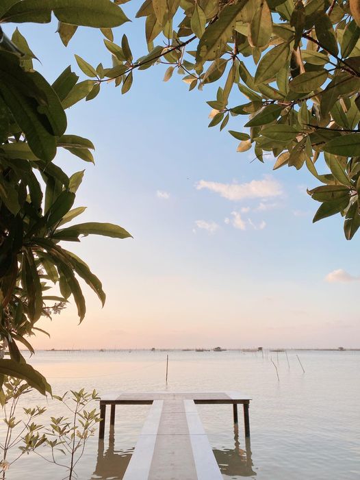 รวมคาเฟ่สงขลา คาเฟ่น่านั่งบรรยากาศดี มีวิวติดทะเล ร้านเด็ดที่สายคาเฟ่ไม่ควรพลาด!!