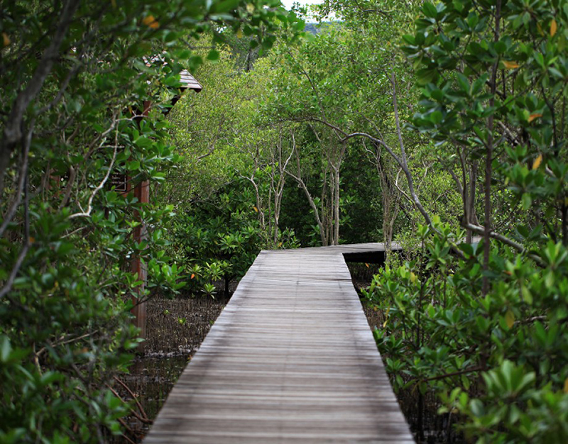 จันทบุรี, top 14+ ที่เที่ยวจันทบุรี 2567 ที่เที่ยวเปิดใหม่ รวมจุดเช็คอินที่ต้องแวะ