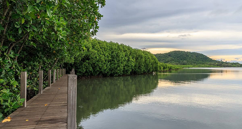 จันทบุรี, top 14+ ที่เที่ยวจันทบุรี 2567 ที่เที่ยวเปิดใหม่ รวมจุดเช็คอินที่ต้องแวะ