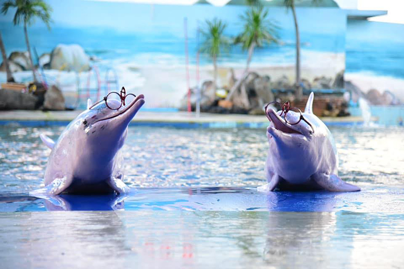 จันทบุรี, top 14+ ที่เที่ยวจันทบุรี 2567 ที่เที่ยวเปิดใหม่ รวมจุดเช็คอินที่ต้องแวะ