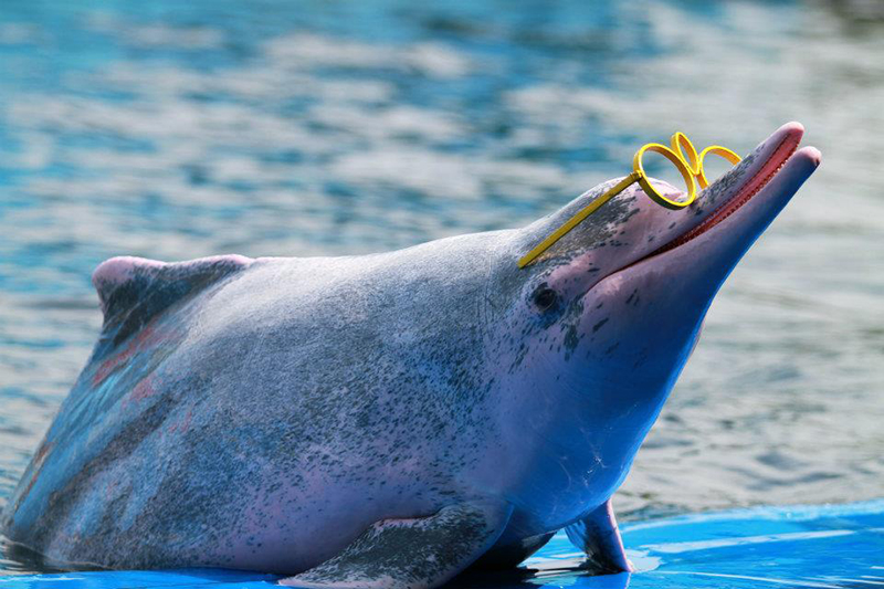 จันทบุรี, top 14+ ที่เที่ยวจันทบุรี 2567 ที่เที่ยวเปิดใหม่ รวมจุดเช็คอินที่ต้องแวะ