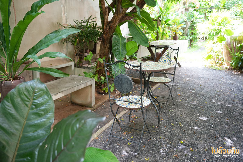 ทีเทสเต้ ขามเรียง, t taste khamriang, คาเฟ่มหาสารคาม, ร้านกาแฟมหาสารคาม, t’taste. khamriang อีกหนึ่งคาเฟ่บ้านไม้ ที่สายรักธรรมชาติต้องเลิฟ