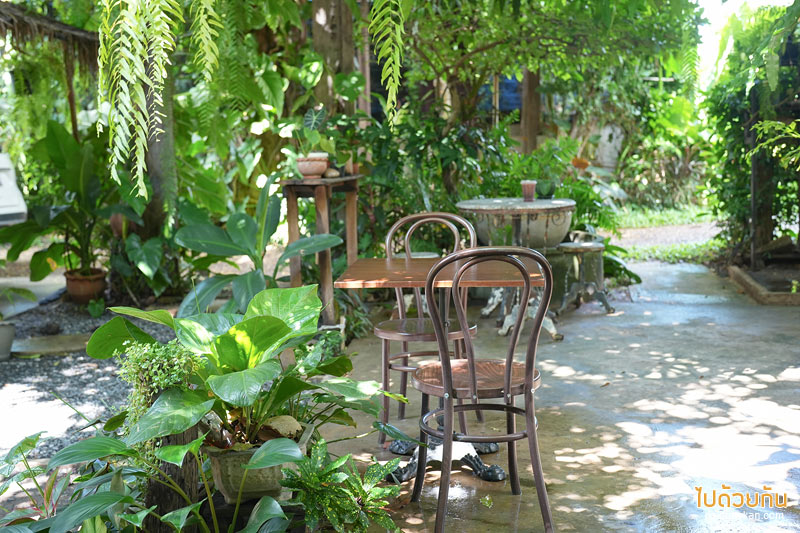 ทีเทสเต้ ขามเรียง, t taste khamriang, คาเฟ่มหาสารคาม, ร้านกาแฟมหาสารคาม, t’taste. khamriang อีกหนึ่งคาเฟ่บ้านไม้ ที่สายรักธรรมชาติต้องเลิฟ