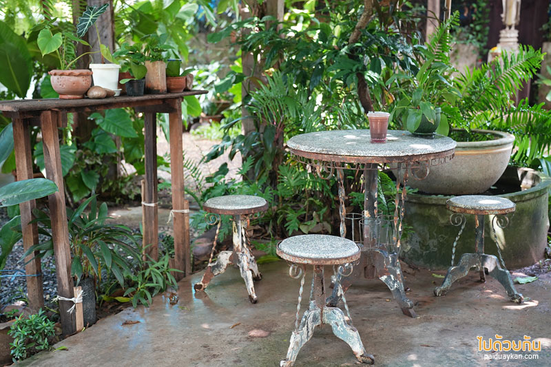 ทีเทสเต้ ขามเรียง, t taste khamriang, คาเฟ่มหาสารคาม, ร้านกาแฟมหาสารคาม, t’taste. khamriang อีกหนึ่งคาเฟ่บ้านไม้ ที่สายรักธรรมชาติต้องเลิฟ