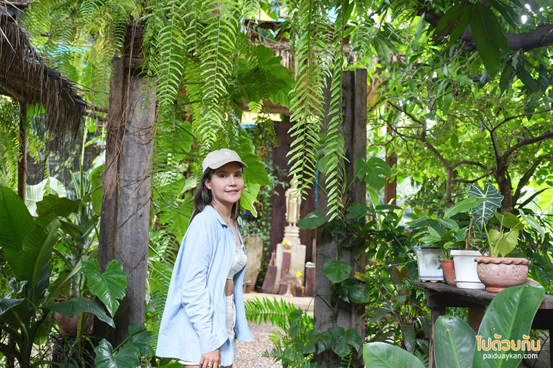 ทีเทสเต้ ขามเรียง, t taste khamriang, คาเฟ่มหาสารคาม, ร้านกาแฟมหาสารคาม, t’taste. khamriang อีกหนึ่งคาเฟ่บ้านไม้ ที่สายรักธรรมชาติต้องเลิฟ