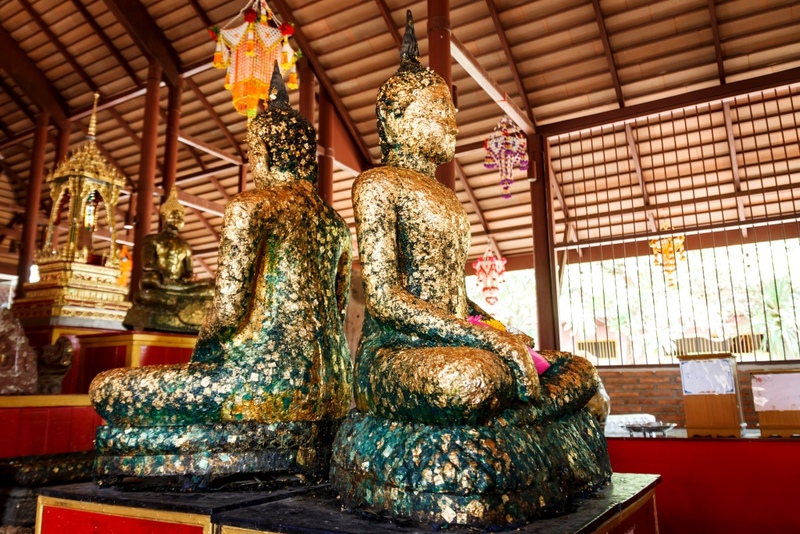 alpacahill, coro field, secret space, ตลาดน้ำดำเนินสะดวก, ถ้ำเขาบิน, ที่เที่ยว, ที่เที่ยวราชบุรี, ที่เที่ยวราชบุรี 2024, ที่เที่ยวราชบุรี 2567, ราชบุรี, วัดพระคริสตหฤทัย, วัดหนองหอย, วัดเพลง, วินเทจฟาร์ม, สถานที่ท่องเที่ยว, อัลปาก้าฮิลล์, อุทยานหินเขางู, เดอะซีนเนอรี่, เถ้าฮงไถ่, เที่ยวจังหวัดราชบุรี, เที่ยวราชบุรี, เที่ยวราชบุรี 2024, เที่ยวราชบุรี 2567, เที่ยวแม่น้ำแม่กลอง, เที่ยวใกล้กรุงเทพ, แก่งส้มแมว, โคโร่ ฟิลด์, top 30+ ที่เที่ยวราชบุรี [กรกฎาคม2024] เมืองน่าเที่ยว มนต์เสน่ห์แห่งลุ่มแม่น้ำแม่กลอง