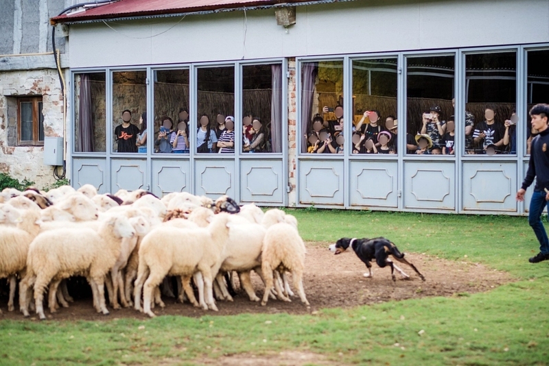 alpacahill, coro field, secret space, ตลาดน้ำดำเนินสะดวก, ถ้ำเขาบิน, ที่เที่ยว, ที่เที่ยวราชบุรี, ที่เที่ยวราชบุรี 2024, ที่เที่ยวราชบุรี 2567, ราชบุรี, วัดพระคริสตหฤทัย, วัดหนองหอย, วัดเพลง, วินเทจฟาร์ม, สถานที่ท่องเที่ยว, อัลปาก้าฮิลล์, อุทยานหินเขางู, เดอะซีนเนอรี่, เถ้าฮงไถ่, เที่ยวจังหวัดราชบุรี, เที่ยวราชบุรี, เที่ยวราชบุรี 2024, เที่ยวราชบุรี 2567, เที่ยวแม่น้ำแม่กลอง, เที่ยวใกล้กรุงเทพ, แก่งส้มแมว, โคโร่ ฟิลด์, top 30+ ที่เที่ยวราชบุรี [กรกฎาคม2024] เมืองน่าเที่ยว มนต์เสน่ห์แห่งลุ่มแม่น้ำแม่กลอง