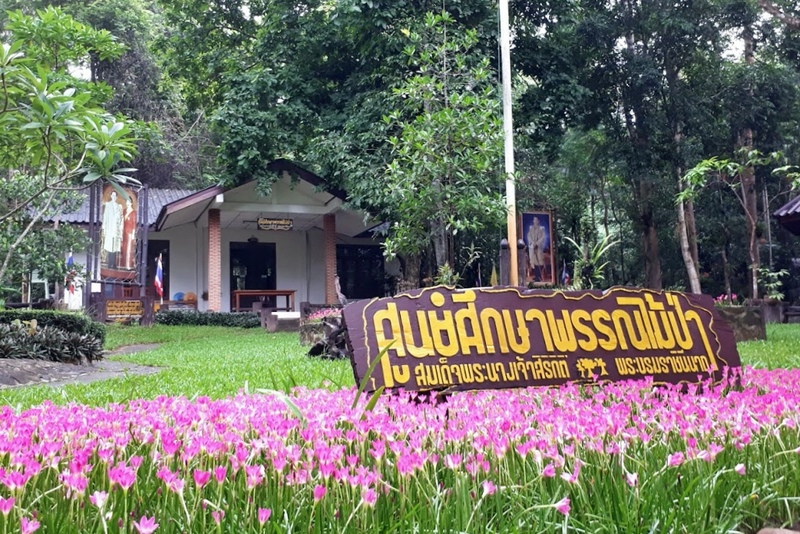 alpacahill, coro field, secret space, ตลาดน้ำดำเนินสะดวก, ถ้ำเขาบิน, ที่เที่ยว, ที่เที่ยวราชบุรี, ที่เที่ยวราชบุรี 2024, ที่เที่ยวราชบุรี 2567, ราชบุรี, วัดพระคริสตหฤทัย, วัดหนองหอย, วัดเพลง, วินเทจฟาร์ม, สถานที่ท่องเที่ยว, อัลปาก้าฮิลล์, อุทยานหินเขางู, เดอะซีนเนอรี่, เถ้าฮงไถ่, เที่ยวจังหวัดราชบุรี, เที่ยวราชบุรี, เที่ยวราชบุรี 2024, เที่ยวราชบุรี 2567, เที่ยวแม่น้ำแม่กลอง, เที่ยวใกล้กรุงเทพ, แก่งส้มแมว, โคโร่ ฟิลด์, top 30+ ที่เที่ยวราชบุรี [กรกฎาคม2024] เมืองน่าเที่ยว มนต์เสน่ห์แห่งลุ่มแม่น้ำแม่กลอง