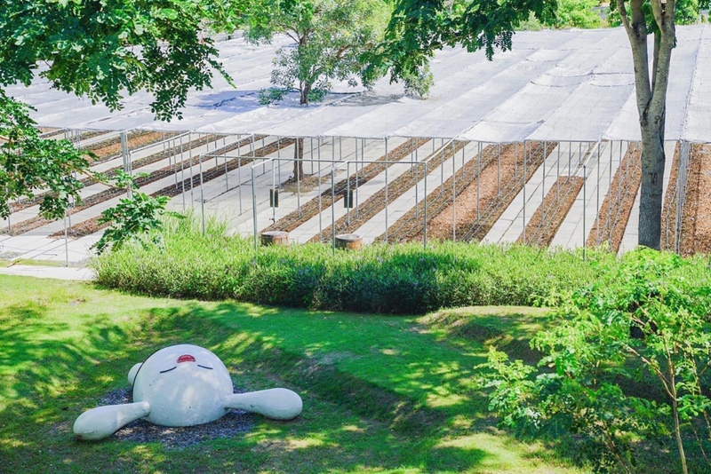 alpacahill, coro field, secret space, ตลาดน้ำดำเนินสะดวก, ถ้ำเขาบิน, ที่เที่ยว, ที่เที่ยวราชบุรี, ที่เที่ยวราชบุรี 2024, ที่เที่ยวราชบุรี 2567, ราชบุรี, วัดพระคริสตหฤทัย, วัดหนองหอย, วัดเพลง, วินเทจฟาร์ม, สถานที่ท่องเที่ยว, อัลปาก้าฮิลล์, อุทยานหินเขางู, เดอะซีนเนอรี่, เถ้าฮงไถ่, เที่ยวจังหวัดราชบุรี, เที่ยวราชบุรี, เที่ยวราชบุรี 2024, เที่ยวราชบุรี 2567, เที่ยวแม่น้ำแม่กลอง, เที่ยวใกล้กรุงเทพ, แก่งส้มแมว, โคโร่ ฟิลด์, top 30+ ที่เที่ยวราชบุรี [กรกฎาคม2024] เมืองน่าเที่ยว มนต์เสน่ห์แห่งลุ่มแม่น้ำแม่กลอง