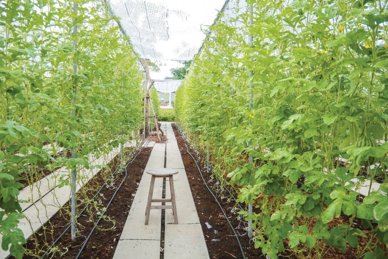 alpacahill, coro field, secret space, ตลาดน้ำดำเนินสะดวก, ถ้ำเขาบิน, ที่เที่ยว, ที่เที่ยวราชบุรี, ที่เที่ยวราชบุรี 2024, ที่เที่ยวราชบุรี 2567, ราชบุรี, วัดพระคริสตหฤทัย, วัดหนองหอย, วัดเพลง, วินเทจฟาร์ม, สถานที่ท่องเที่ยว, อัลปาก้าฮิลล์, อุทยานหินเขางู, เดอะซีนเนอรี่, เถ้าฮงไถ่, เที่ยวจังหวัดราชบุรี, เที่ยวราชบุรี, เที่ยวราชบุรี 2024, เที่ยวราชบุรี 2567, เที่ยวแม่น้ำแม่กลอง, เที่ยวใกล้กรุงเทพ, แก่งส้มแมว, โคโร่ ฟิลด์, top 30+ ที่เที่ยวราชบุรี [กรกฎาคม2024] เมืองน่าเที่ยว มนต์เสน่ห์แห่งลุ่มแม่น้ำแม่กลอง