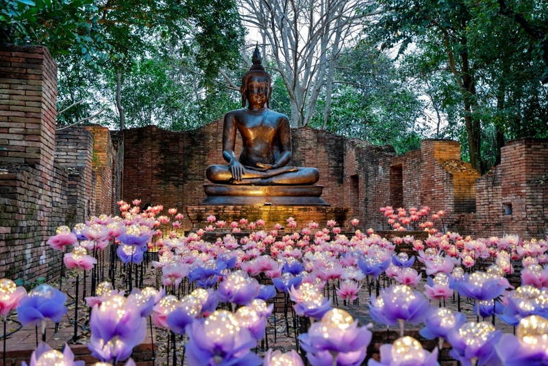 alpacahill, coro field, secret space, ตลาดน้ำดำเนินสะดวก, ถ้ำเขาบิน, ที่เที่ยว, ที่เที่ยวราชบุรี, ที่เที่ยวราชบุรี 2024, ที่เที่ยวราชบุรี 2567, ราชบุรี, วัดพระคริสตหฤทัย, วัดหนองหอย, วัดเพลง, วินเทจฟาร์ม, สถานที่ท่องเที่ยว, อัลปาก้าฮิลล์, อุทยานหินเขางู, เดอะซีนเนอรี่, เถ้าฮงไถ่, เที่ยวจังหวัดราชบุรี, เที่ยวราชบุรี, เที่ยวราชบุรี 2024, เที่ยวราชบุรี 2567, เที่ยวแม่น้ำแม่กลอง, เที่ยวใกล้กรุงเทพ, แก่งส้มแมว, โคโร่ ฟิลด์, top 30+ ที่เที่ยวราชบุรี [กรกฎาคม2024] เมืองน่าเที่ยว มนต์เสน่ห์แห่งลุ่มแม่น้ำแม่กลอง