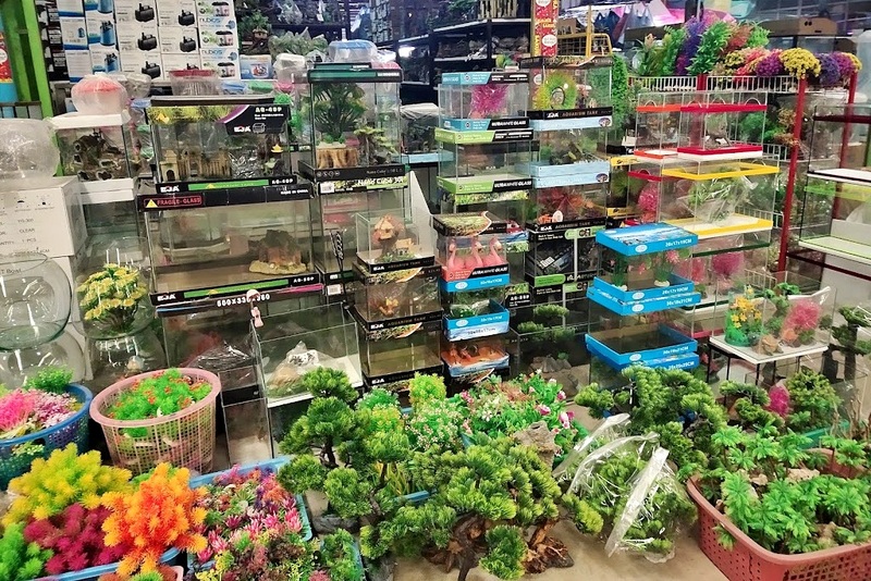 alpacahill, coro field, secret space, ตลาดน้ำดำเนินสะดวก, ถ้ำเขาบิน, ที่เที่ยว, ที่เที่ยวราชบุรี, ที่เที่ยวราชบุรี 2024, ที่เที่ยวราชบุรี 2567, ราชบุรี, วัดพระคริสตหฤทัย, วัดหนองหอย, วัดเพลง, วินเทจฟาร์ม, สถานที่ท่องเที่ยว, อัลปาก้าฮิลล์, อุทยานหินเขางู, เดอะซีนเนอรี่, เถ้าฮงไถ่, เที่ยวจังหวัดราชบุรี, เที่ยวราชบุรี, เที่ยวราชบุรี 2024, เที่ยวราชบุรี 2567, เที่ยวแม่น้ำแม่กลอง, เที่ยวใกล้กรุงเทพ, แก่งส้มแมว, โคโร่ ฟิลด์, top 30+ ที่เที่ยวราชบุรี [กรกฎาคม2024] เมืองน่าเที่ยว มนต์เสน่ห์แห่งลุ่มแม่น้ำแม่กลอง