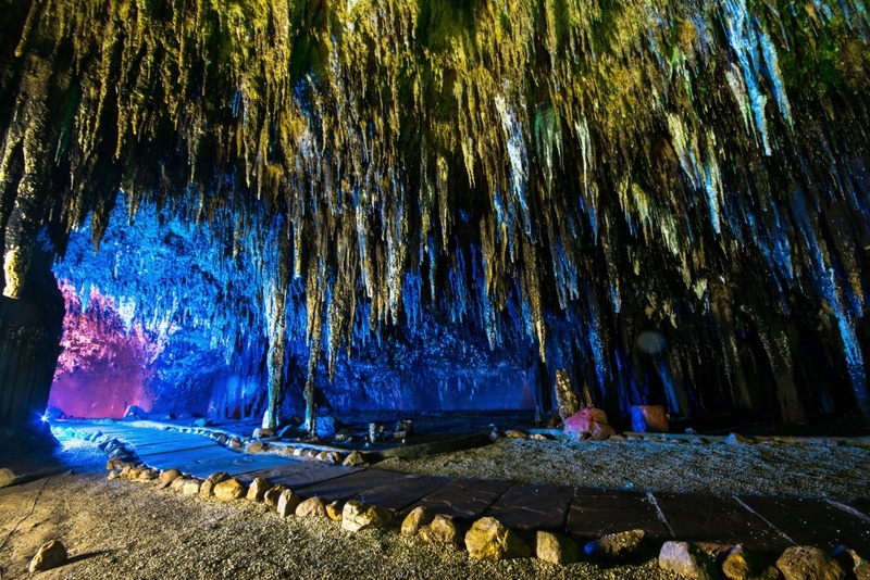 alpacahill, coro field, secret space, ตลาดน้ำดำเนินสะดวก, ถ้ำเขาบิน, ที่เที่ยว, ที่เที่ยวราชบุรี, ที่เที่ยวราชบุรี 2024, ที่เที่ยวราชบุรี 2567, ราชบุรี, วัดพระคริสตหฤทัย, วัดหนองหอย, วัดเพลง, วินเทจฟาร์ม, สถานที่ท่องเที่ยว, อัลปาก้าฮิลล์, อุทยานหินเขางู, เดอะซีนเนอรี่, เถ้าฮงไถ่, เที่ยวจังหวัดราชบุรี, เที่ยวราชบุรี, เที่ยวราชบุรี 2024, เที่ยวราชบุรี 2567, เที่ยวแม่น้ำแม่กลอง, เที่ยวใกล้กรุงเทพ, แก่งส้มแมว, โคโร่ ฟิลด์, top 30+ ที่เที่ยวราชบุรี [กรกฎาคม2024] เมืองน่าเที่ยว มนต์เสน่ห์แห่งลุ่มแม่น้ำแม่กลอง