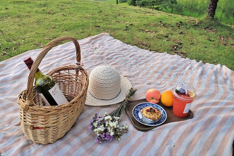 alpacahill, coro field, secret space, ตลาดน้ำดำเนินสะดวก, ถ้ำเขาบิน, ที่เที่ยว, ที่เที่ยวราชบุรี, ที่เที่ยวราชบุรี 2024, ที่เที่ยวราชบุรี 2567, ราชบุรี, วัดพระคริสตหฤทัย, วัดหนองหอย, วัดเพลง, วินเทจฟาร์ม, สถานที่ท่องเที่ยว, อัลปาก้าฮิลล์, อุทยานหินเขางู, เดอะซีนเนอรี่, เถ้าฮงไถ่, เที่ยวจังหวัดราชบุรี, เที่ยวราชบุรี, เที่ยวราชบุรี 2024, เที่ยวราชบุรี 2567, เที่ยวแม่น้ำแม่กลอง, เที่ยวใกล้กรุงเทพ, แก่งส้มแมว, โคโร่ ฟิลด์, top 30+ ที่เที่ยวราชบุรี [กรกฎาคม2024] เมืองน่าเที่ยว มนต์เสน่ห์แห่งลุ่มแม่น้ำแม่กลอง