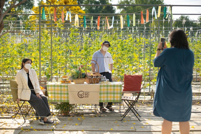 alpacahill, coro field, secret space, ตลาดน้ำดำเนินสะดวก, ถ้ำเขาบิน, ที่เที่ยว, ที่เที่ยวราชบุรี, ที่เที่ยวราชบุรี 2024, ที่เที่ยวราชบุรี 2567, ราชบุรี, วัดพระคริสตหฤทัย, วัดหนองหอย, วัดเพลง, วินเทจฟาร์ม, สถานที่ท่องเที่ยว, อัลปาก้าฮิลล์, อุทยานหินเขางู, เดอะซีนเนอรี่, เถ้าฮงไถ่, เที่ยวจังหวัดราชบุรี, เที่ยวราชบุรี, เที่ยวราชบุรี 2024, เที่ยวราชบุรี 2567, เที่ยวแม่น้ำแม่กลอง, เที่ยวใกล้กรุงเทพ, แก่งส้มแมว, โคโร่ ฟิลด์, top 30+ ที่เที่ยวราชบุรี [กรกฎาคม2024] เมืองน่าเที่ยว มนต์เสน่ห์แห่งลุ่มแม่น้ำแม่กลอง