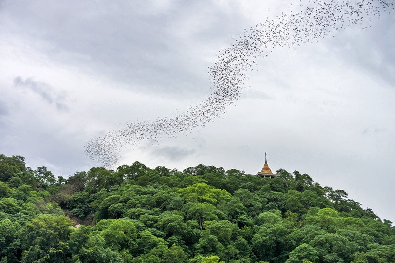 alpacahill, coro field, secret space, ตลาดน้ำดำเนินสะดวก, ถ้ำเขาบิน, ที่เที่ยว, ที่เที่ยวราชบุรี, ที่เที่ยวราชบุรี 2024, ที่เที่ยวราชบุรี 2567, ราชบุรี, วัดพระคริสตหฤทัย, วัดหนองหอย, วัดเพลง, วินเทจฟาร์ม, สถานที่ท่องเที่ยว, อัลปาก้าฮิลล์, อุทยานหินเขางู, เดอะซีนเนอรี่, เถ้าฮงไถ่, เที่ยวจังหวัดราชบุรี, เที่ยวราชบุรี, เที่ยวราชบุรี 2024, เที่ยวราชบุรี 2567, เที่ยวแม่น้ำแม่กลอง, เที่ยวใกล้กรุงเทพ, แก่งส้มแมว, โคโร่ ฟิลด์, top 30+ ที่เที่ยวราชบุรี [กรกฎาคม2024] เมืองน่าเที่ยว มนต์เสน่ห์แห่งลุ่มแม่น้ำแม่กลอง