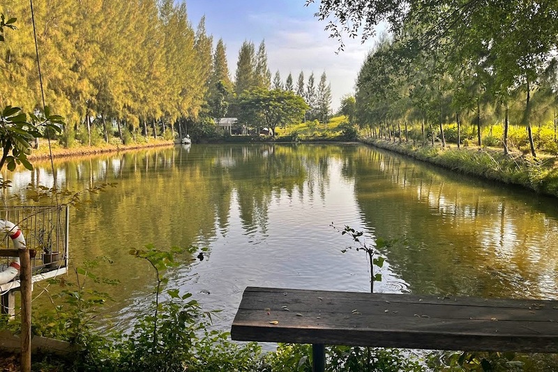 alpacahill, coro field, secret space, ตลาดน้ำดำเนินสะดวก, ถ้ำเขาบิน, ที่เที่ยว, ที่เที่ยวราชบุรี, ที่เที่ยวราชบุรี 2024, ที่เที่ยวราชบุรี 2567, ราชบุรี, วัดพระคริสตหฤทัย, วัดหนองหอย, วัดเพลง, วินเทจฟาร์ม, สถานที่ท่องเที่ยว, อัลปาก้าฮิลล์, อุทยานหินเขางู, เดอะซีนเนอรี่, เถ้าฮงไถ่, เที่ยวจังหวัดราชบุรี, เที่ยวราชบุรี, เที่ยวราชบุรี 2024, เที่ยวราชบุรี 2567, เที่ยวแม่น้ำแม่กลอง, เที่ยวใกล้กรุงเทพ, แก่งส้มแมว, โคโร่ ฟิลด์, top 30+ ที่เที่ยวราชบุรี [กรกฎาคม2024] เมืองน่าเที่ยว มนต์เสน่ห์แห่งลุ่มแม่น้ำแม่กลอง