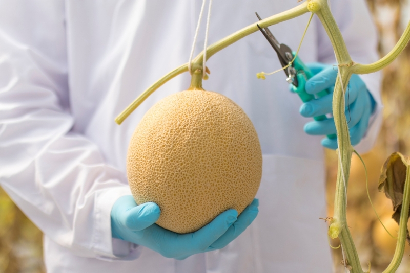 alpacahill, coro field, secret space, ตลาดน้ำดำเนินสะดวก, ถ้ำเขาบิน, ที่เที่ยว, ที่เที่ยวราชบุรี, ที่เที่ยวราชบุรี 2024, ที่เที่ยวราชบุรี 2567, ราชบุรี, วัดพระคริสตหฤทัย, วัดหนองหอย, วัดเพลง, วินเทจฟาร์ม, สถานที่ท่องเที่ยว, อัลปาก้าฮิลล์, อุทยานหินเขางู, เดอะซีนเนอรี่, เถ้าฮงไถ่, เที่ยวจังหวัดราชบุรี, เที่ยวราชบุรี, เที่ยวราชบุรี 2024, เที่ยวราชบุรี 2567, เที่ยวแม่น้ำแม่กลอง, เที่ยวใกล้กรุงเทพ, แก่งส้มแมว, โคโร่ ฟิลด์, top 30+ ที่เที่ยวราชบุรี [กรกฎาคม2024] เมืองน่าเที่ยว มนต์เสน่ห์แห่งลุ่มแม่น้ำแม่กลอง