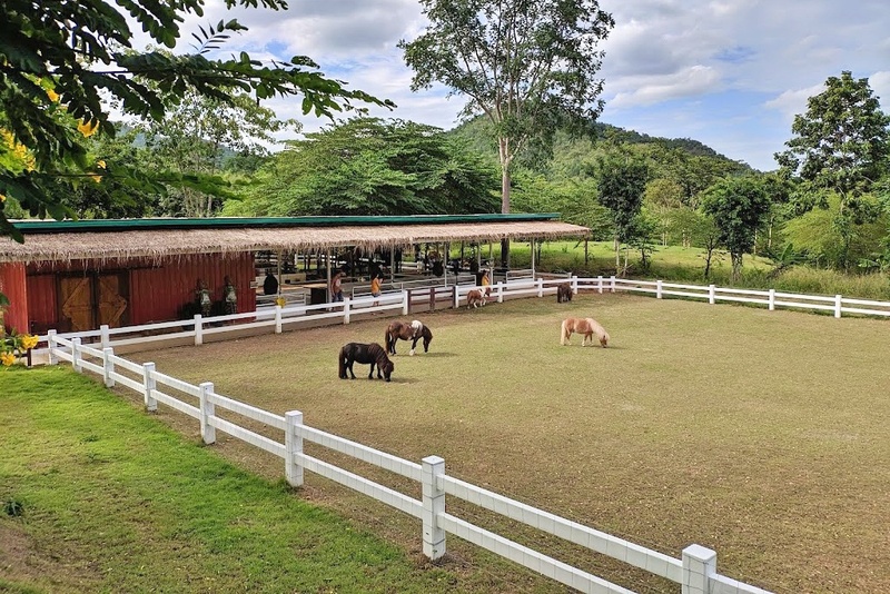 alpacahill, coro field, secret space, ตลาดน้ำดำเนินสะดวก, ถ้ำเขาบิน, ที่เที่ยว, ที่เที่ยวราชบุรี, ที่เที่ยวราชบุรี 2024, ที่เที่ยวราชบุรี 2567, ราชบุรี, วัดพระคริสตหฤทัย, วัดหนองหอย, วัดเพลง, วินเทจฟาร์ม, สถานที่ท่องเที่ยว, อัลปาก้าฮิลล์, อุทยานหินเขางู, เดอะซีนเนอรี่, เถ้าฮงไถ่, เที่ยวจังหวัดราชบุรี, เที่ยวราชบุรี, เที่ยวราชบุรี 2024, เที่ยวราชบุรี 2567, เที่ยวแม่น้ำแม่กลอง, เที่ยวใกล้กรุงเทพ, แก่งส้มแมว, โคโร่ ฟิลด์, top 30+ ที่เที่ยวราชบุรี [กรกฎาคม2024] เมืองน่าเที่ยว มนต์เสน่ห์แห่งลุ่มแม่น้ำแม่กลอง