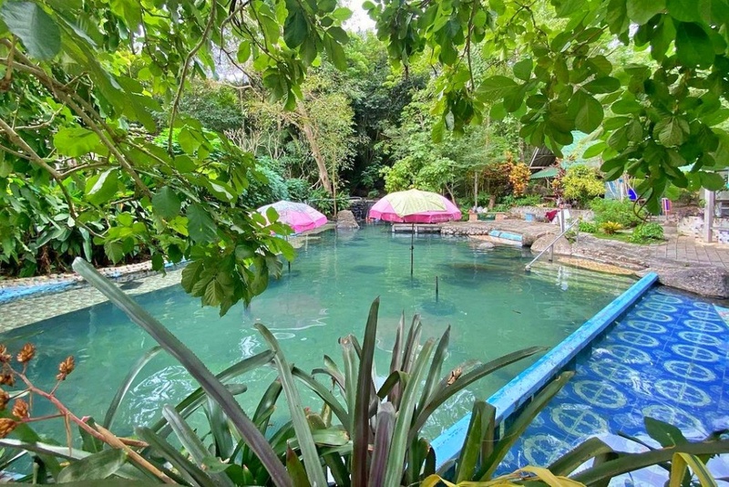 alpacahill, coro field, secret space, ตลาดน้ำดำเนินสะดวก, ถ้ำเขาบิน, ที่เที่ยว, ที่เที่ยวราชบุรี, ที่เที่ยวราชบุรี 2024, ที่เที่ยวราชบุรี 2567, ราชบุรี, วัดพระคริสตหฤทัย, วัดหนองหอย, วัดเพลง, วินเทจฟาร์ม, สถานที่ท่องเที่ยว, อัลปาก้าฮิลล์, อุทยานหินเขางู, เดอะซีนเนอรี่, เถ้าฮงไถ่, เที่ยวจังหวัดราชบุรี, เที่ยวราชบุรี, เที่ยวราชบุรี 2024, เที่ยวราชบุรี 2567, เที่ยวแม่น้ำแม่กลอง, เที่ยวใกล้กรุงเทพ, แก่งส้มแมว, โคโร่ ฟิลด์, top 30+ ที่เที่ยวราชบุรี [กรกฎาคม2024] เมืองน่าเที่ยว มนต์เสน่ห์แห่งลุ่มแม่น้ำแม่กลอง