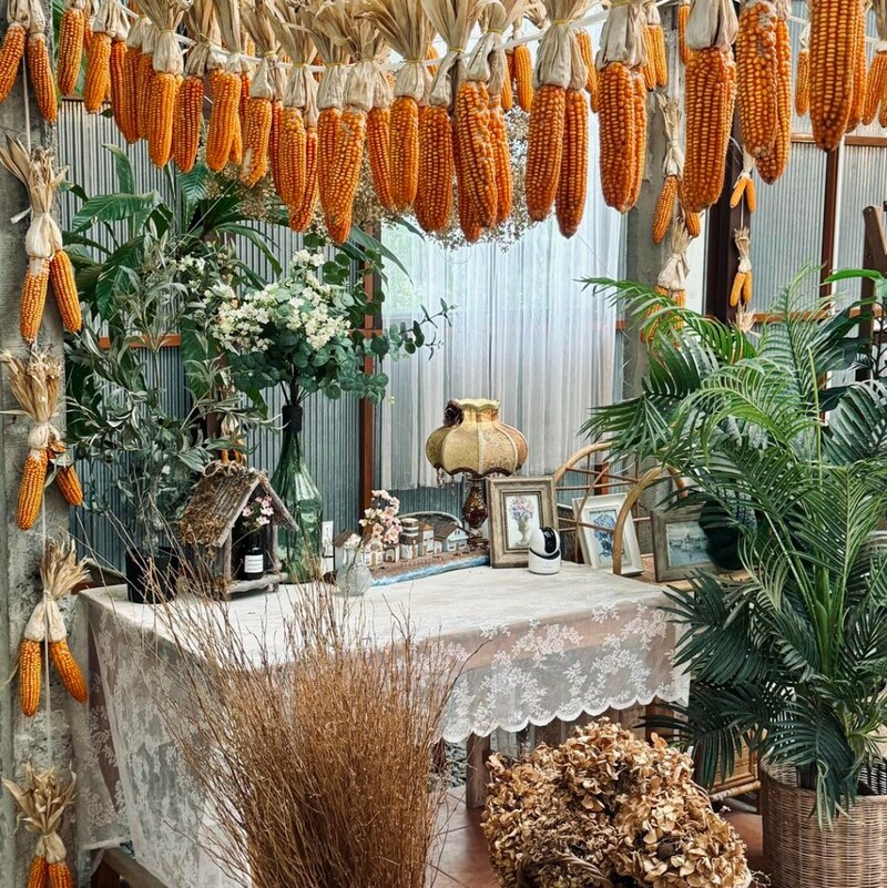 bake and more, bellinee’s rayong, guer cafe, happy camper rayong, happy camper คาเฟ่, mama don’t like espresso bar & bake lab, mhuan fun cafe & art, misahouse, phala craft coffee roasters, seaseoul cafe, she sails cafe & beach club, she sails rayong, the creeper house, triple o coffee, u cup coffee, คาเฟ่ระยอง, คาเฟ่ระยอง 2024, คาเฟ่ระยอง 2567, คาเฟ่ริมทะเล ระยอง, คาเฟ่เปิดใหม่ ระยอง, คาเฟ่ใกลฉัน, ซีโซล คาเฟ่, ปาฎี, มาม่า ดอนท์ ไลท์ คาเฟ่, มิสะเฮ้าท์, ระยอง 2024, ระยอง 2567, ระยอง คาเฟ่, ร้านปาฎี, ร้านเกื้อ, สวนก๋ง, เที่ยวระยอง, เบค แอนด์ มอร์ คาเฟ่, เบลลินี่ ระยอง, เหมือนฝัน คาเฟ่, top 15+ คาเฟ่ระยอง [กรกฎาคม 2024] นั่งจิบชากาแฟ ทานเบเกอรี่ ดื่มด่ำธรรมชาติ รับลมริมทะเล