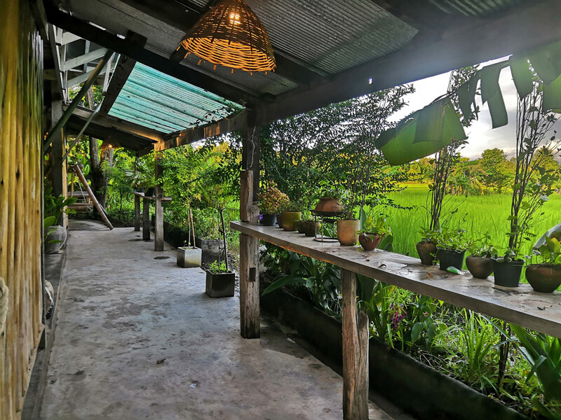 top 10+ คาเฟ่สุรินทร์ 2567 คาเฟ่ทุ่งนาสุรินทร์ บรรยากาศดี วิวสุดปัง ถ่ายรูปสวย