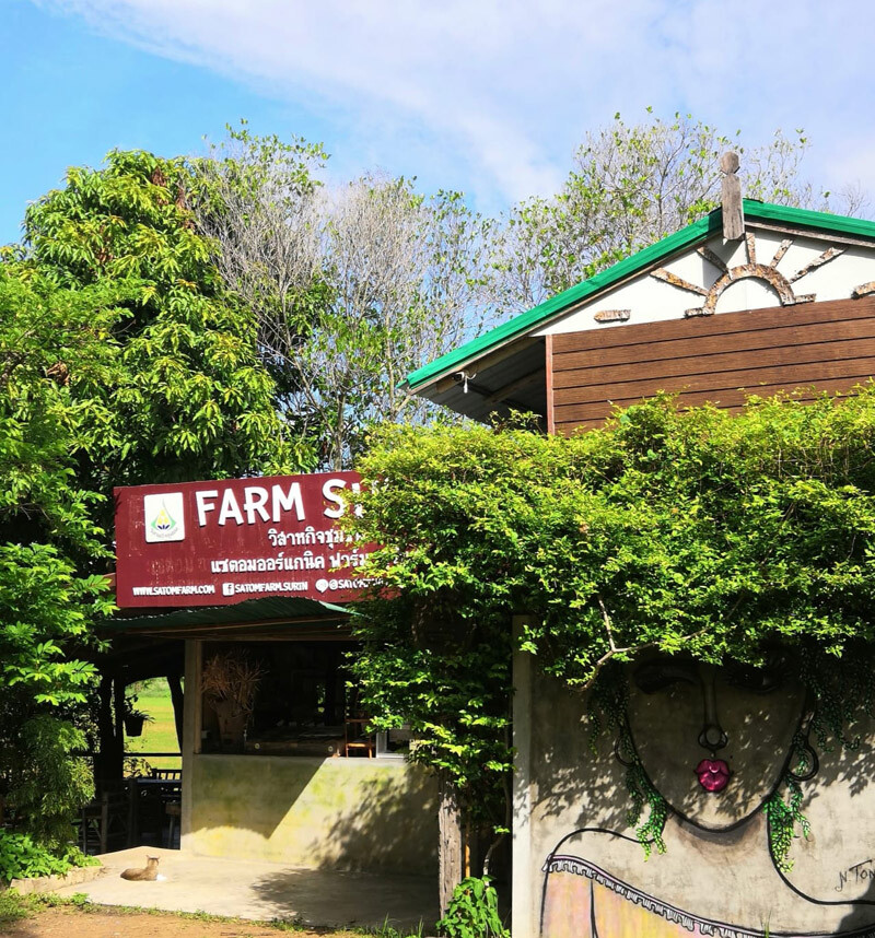 top 10+ คาเฟ่สุรินทร์ 2567 คาเฟ่ทุ่งนาสุรินทร์ บรรยากาศดี วิวสุดปัง ถ่ายรูปสวย