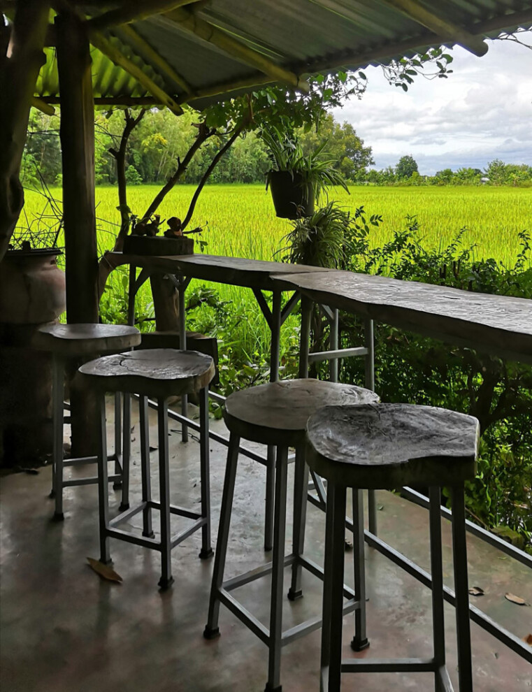top 10+ คาเฟ่สุรินทร์ 2567 คาเฟ่ทุ่งนาสุรินทร์ บรรยากาศดี วิวสุดปัง ถ่ายรูปสวย