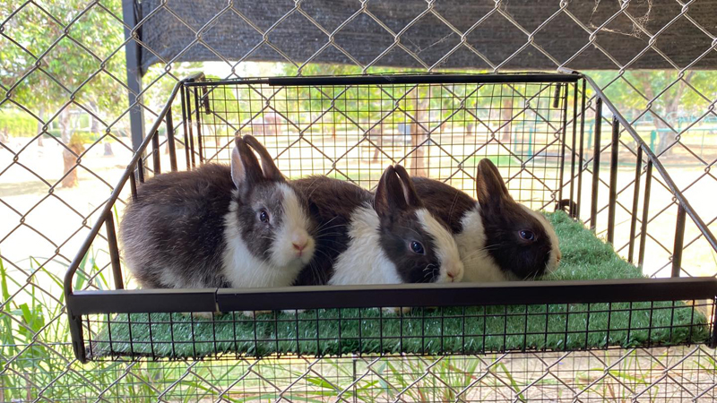 top 22+ ที่พักเขาใหญ่ 2567 ที่พักวิวสวยบรรยากาศดี ใกล้ชิดธรรมชาติ