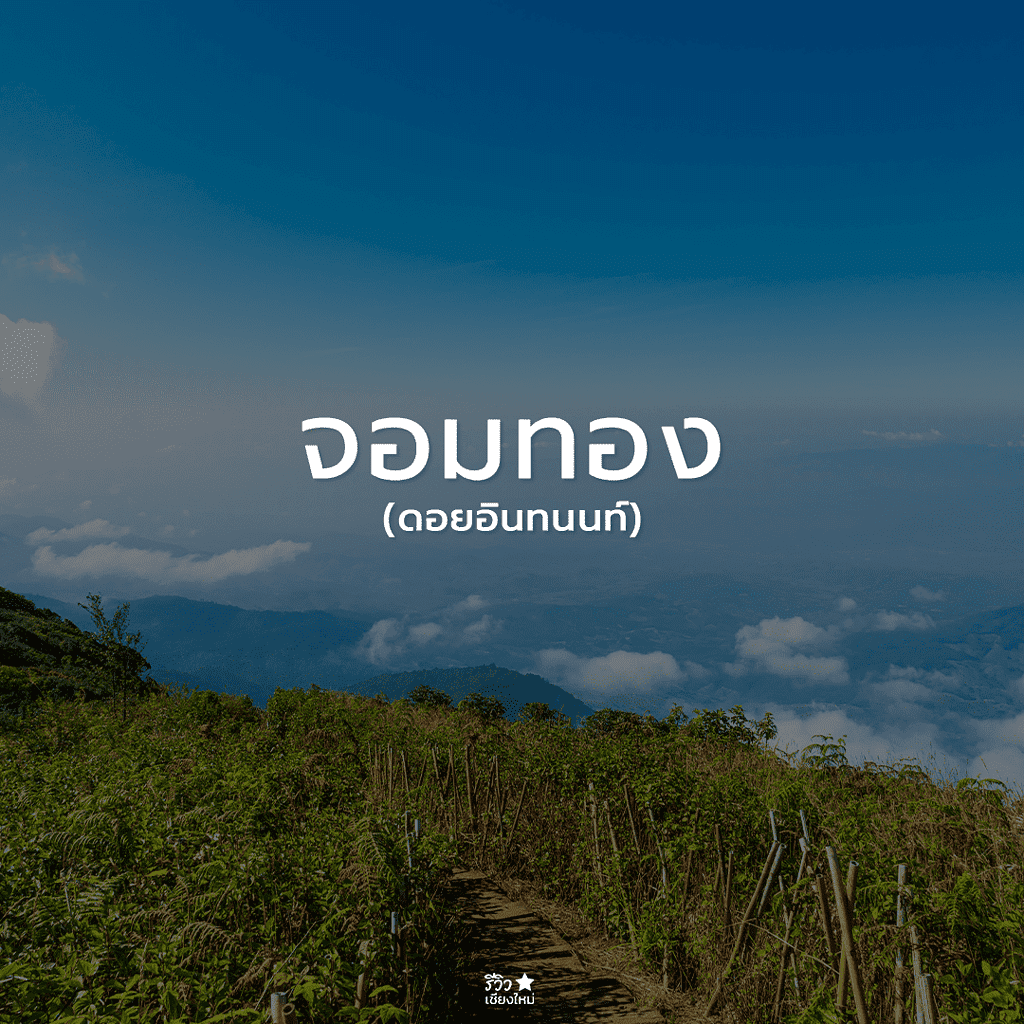 กัลยาณิวัฒนา, ดอยสุเทพ, ดอยอินทนนท์, ดอยเต่า, ที่เที่ยว ดอยสะเก็ด, ที่เที่ยวเชียงใหม่, พร้าว, สันกำแพง, สันป่าตอง, สารภี, หางดง เชียงใหม่, อมก๋อย, ฮอด, เที่ยวเชียงใหม่, แม่ริม, แม่วาง เชียงใหม่, แม่แจ่ม, แม่แตง, ไชยปราการ, ที่เที่ยวเชียงใหม่ ลายแทง พิกัดเด็ดจัดเต็ม อัปเดต 2024