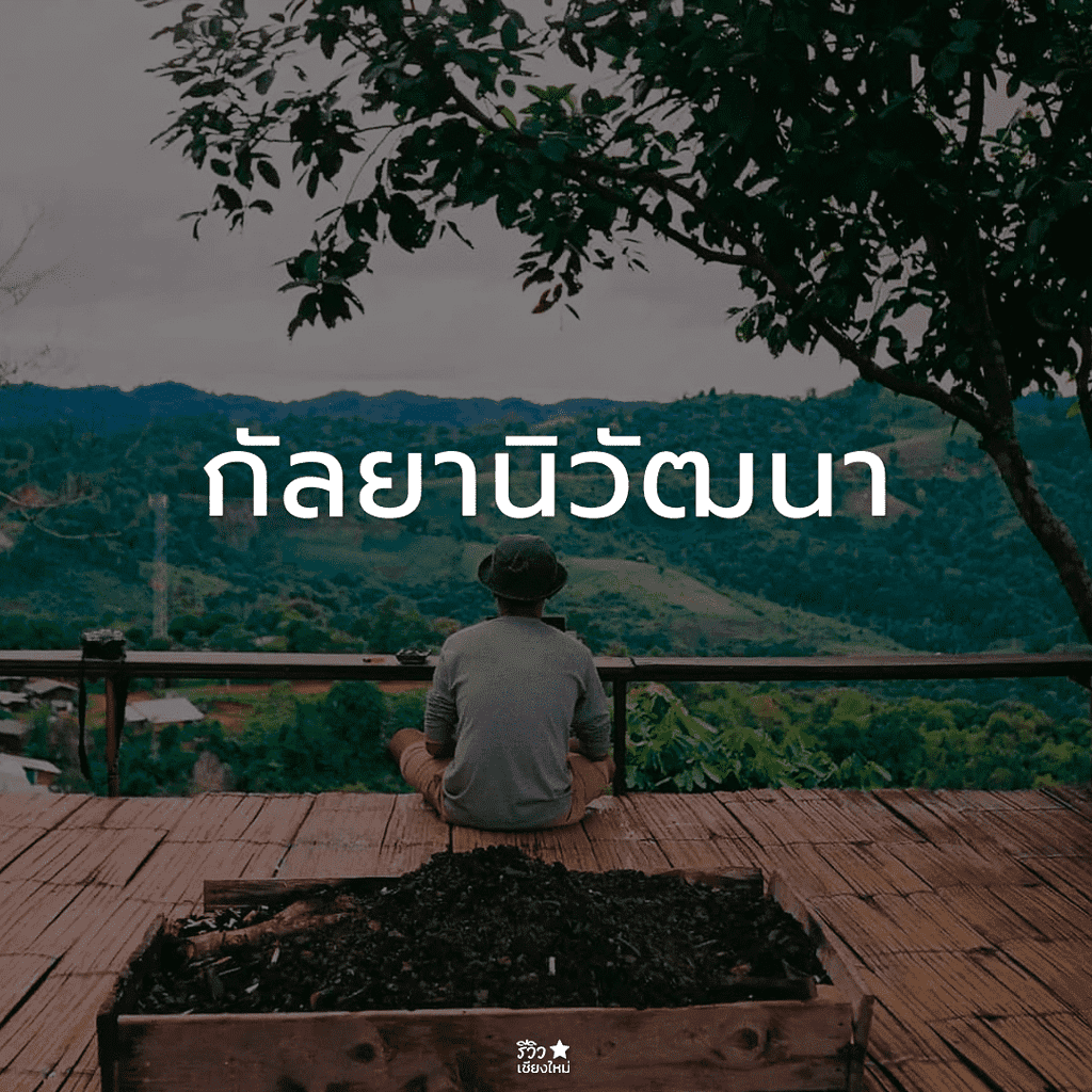 กัลยาณิวัฒนา, ดอยสุเทพ, ดอยอินทนนท์, ดอยเต่า, ที่เที่ยว ดอยสะเก็ด, ที่เที่ยวเชียงใหม่, พร้าว, สันกำแพง, สันป่าตอง, สารภี, หางดง เชียงใหม่, อมก๋อย, ฮอด, เที่ยวเชียงใหม่, แม่ริม, แม่วาง เชียงใหม่, แม่แจ่ม, แม่แตง, ไชยปราการ, ที่เที่ยวเชียงใหม่ ลายแทง พิกัดเด็ดจัดเต็ม อัปเดต 2024