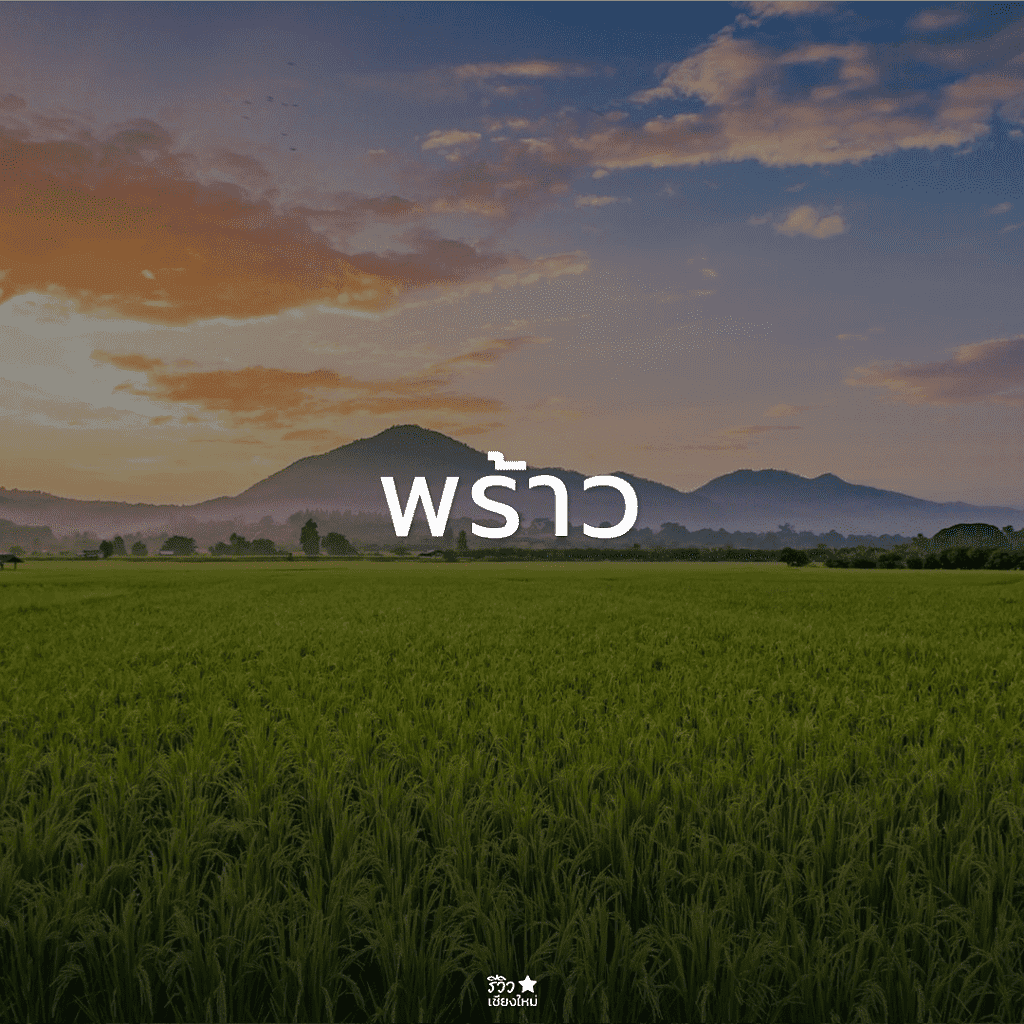 กัลยาณิวัฒนา, ดอยสุเทพ, ดอยอินทนนท์, ดอยเต่า, ที่เที่ยว ดอยสะเก็ด, ที่เที่ยวเชียงใหม่, พร้าว, สันกำแพง, สันป่าตอง, สารภี, หางดง เชียงใหม่, อมก๋อย, ฮอด, เที่ยวเชียงใหม่, แม่ริม, แม่วาง เชียงใหม่, แม่แจ่ม, แม่แตง, ไชยปราการ, ที่เที่ยวเชียงใหม่ ลายแทง พิกัดเด็ดจัดเต็ม อัปเดต 2024