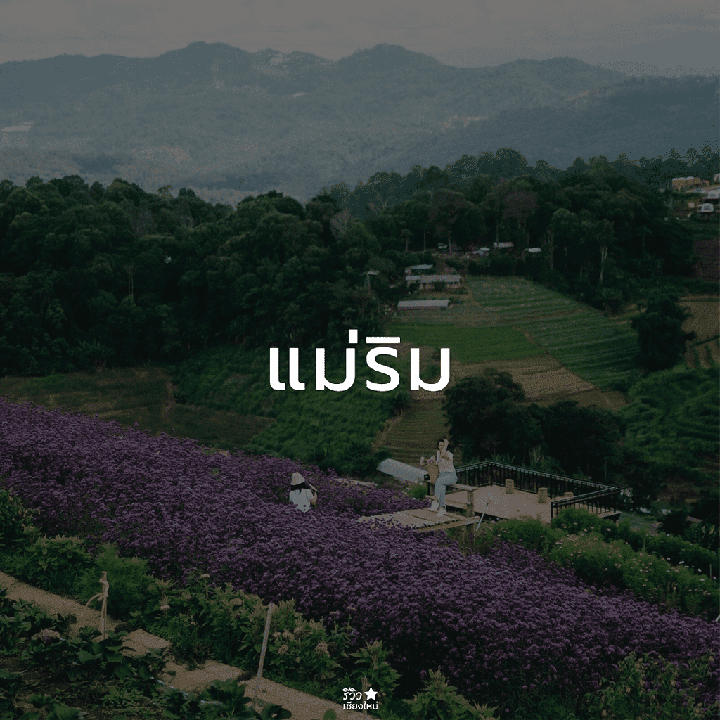 กัลยาณิวัฒนา, ดอยสุเทพ, ดอยอินทนนท์, ดอยเต่า, ที่เที่ยว ดอยสะเก็ด, ที่เที่ยวเชียงใหม่, พร้าว, สันกำแพง, สันป่าตอง, สารภี, หางดง เชียงใหม่, อมก๋อย, ฮอด, เที่ยวเชียงใหม่, แม่ริม, แม่วาง เชียงใหม่, แม่แจ่ม, แม่แตง, ไชยปราการ, ที่เที่ยวเชียงใหม่ ลายแทง พิกัดเด็ดจัดเต็ม อัปเดต 2024