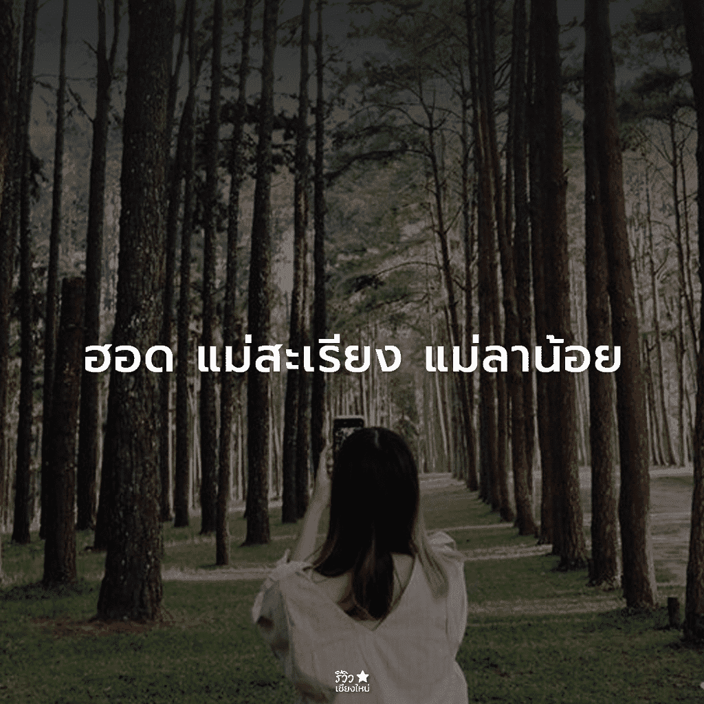 กัลยาณิวัฒนา, ดอยสุเทพ, ดอยอินทนนท์, ดอยเต่า, ที่เที่ยว ดอยสะเก็ด, ที่เที่ยวเชียงใหม่, พร้าว, สันกำแพง, สันป่าตอง, สารภี, หางดง เชียงใหม่, อมก๋อย, ฮอด, เที่ยวเชียงใหม่, แม่ริม, แม่วาง เชียงใหม่, แม่แจ่ม, แม่แตง, ไชยปราการ, ที่เที่ยวเชียงใหม่ ลายแทง พิกัดเด็ดจัดเต็ม อัปเดต 2024
