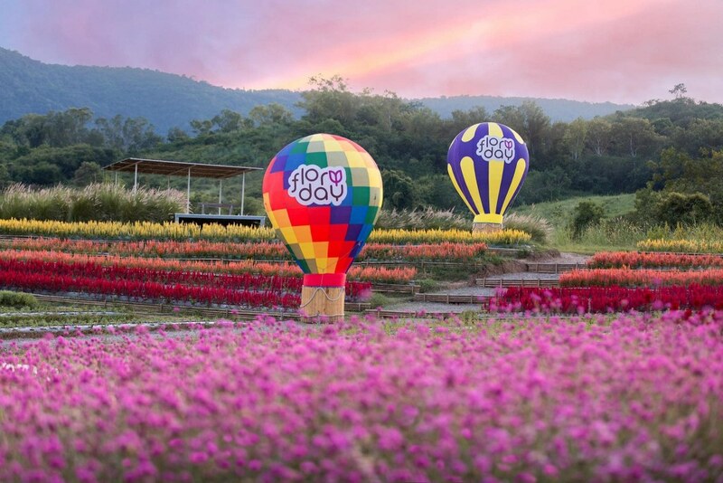 baan zaka cafe, daydreaming cafe, khaam khaoyai, like a mountain, pirom cafe, rosebay home cooking café, tara cafe, the birder’s lodge cafe, the birder’s lodge café & grill, the creek, the creek khao yai, trot cafe khaoyai, yellow submarine coffee tank, ขาม เขาใหญ่, คาเฟ่ปากช่อง, คาเฟ่เขาใหญ่, คาเฟ่เขาใหญ่ 2024, คาเฟ่เขาใหญ่ 2567, คาเฟ่เขาใหญ่สวย ๆ, ทร็อต คาเฟ่ เขาใหญ่, ทาราคาเฟ่, ธารา คาเฟ่ เขาใหญ่, บ้านซาก้า ปากช่อง, บ้านซาก้า เขาใหญ่, บ้านนอก คาเฟ่, บ้านนอกคอกนา, บ้านนอกคอกนา เขาใหญ่, ภิรมณ์ คาเฟ่, เดย์ดรีมมิ่ง เขาใหญ่, เดอะครีก ปากช่อง, เดอะครีก เขาใหญ่, เอล คาเฟ่ เขาใหญ่, top 20+ คาเฟ่ เขาใหญ่-ปากช่อง [กรกฎาคม 2024] น่านั่ง บรรยากาศดี ถ่ายรูปสวย