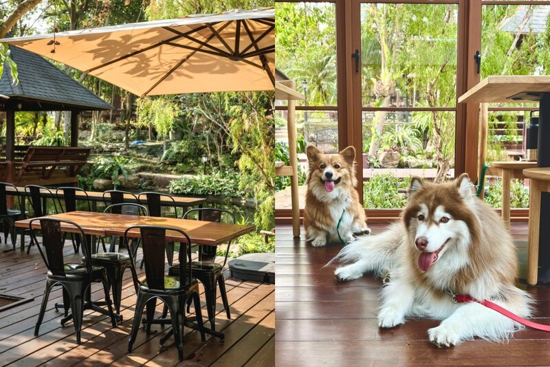 baan zaka cafe, daydreaming cafe, khaam khaoyai, like a mountain, pirom cafe, rosebay home cooking café, tara cafe, the birder’s lodge cafe, the birder’s lodge café & grill, the creek, the creek khao yai, trot cafe khaoyai, yellow submarine coffee tank, ขาม เขาใหญ่, คาเฟ่ปากช่อง, คาเฟ่เขาใหญ่, คาเฟ่เขาใหญ่ 2024, คาเฟ่เขาใหญ่ 2567, คาเฟ่เขาใหญ่สวย ๆ, ทร็อต คาเฟ่ เขาใหญ่, ทาราคาเฟ่, ธารา คาเฟ่ เขาใหญ่, บ้านซาก้า ปากช่อง, บ้านซาก้า เขาใหญ่, บ้านนอก คาเฟ่, บ้านนอกคอกนา, บ้านนอกคอกนา เขาใหญ่, ภิรมณ์ คาเฟ่, เดย์ดรีมมิ่ง เขาใหญ่, เดอะครีก ปากช่อง, เดอะครีก เขาใหญ่, เอล คาเฟ่ เขาใหญ่, top 20+ คาเฟ่ เขาใหญ่-ปากช่อง [กรกฎาคม 2024] น่านั่ง บรรยากาศดี ถ่ายรูปสวย