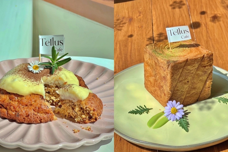 baan zaka cafe, daydreaming cafe, khaam khaoyai, like a mountain, pirom cafe, rosebay home cooking café, tara cafe, the birder’s lodge cafe, the birder’s lodge café & grill, the creek, the creek khao yai, trot cafe khaoyai, yellow submarine coffee tank, ขาม เขาใหญ่, คาเฟ่ปากช่อง, คาเฟ่เขาใหญ่, คาเฟ่เขาใหญ่ 2024, คาเฟ่เขาใหญ่ 2567, คาเฟ่เขาใหญ่สวย ๆ, ทร็อต คาเฟ่ เขาใหญ่, ทาราคาเฟ่, ธารา คาเฟ่ เขาใหญ่, บ้านซาก้า ปากช่อง, บ้านซาก้า เขาใหญ่, บ้านนอก คาเฟ่, บ้านนอกคอกนา, บ้านนอกคอกนา เขาใหญ่, ภิรมณ์ คาเฟ่, เดย์ดรีมมิ่ง เขาใหญ่, เดอะครีก ปากช่อง, เดอะครีก เขาใหญ่, เอล คาเฟ่ เขาใหญ่, top 20+ คาเฟ่ เขาใหญ่-ปากช่อง [กรกฎาคม 2024] น่านั่ง บรรยากาศดี ถ่ายรูปสวย