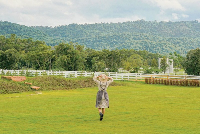 baan zaka cafe, daydreaming cafe, khaam khaoyai, like a mountain, pirom cafe, rosebay home cooking café, tara cafe, the birder’s lodge cafe, the birder’s lodge café & grill, the creek, the creek khao yai, trot cafe khaoyai, yellow submarine coffee tank, ขาม เขาใหญ่, คาเฟ่ปากช่อง, คาเฟ่เขาใหญ่, คาเฟ่เขาใหญ่ 2024, คาเฟ่เขาใหญ่ 2567, คาเฟ่เขาใหญ่สวย ๆ, ทร็อต คาเฟ่ เขาใหญ่, ทาราคาเฟ่, ธารา คาเฟ่ เขาใหญ่, บ้านซาก้า ปากช่อง, บ้านซาก้า เขาใหญ่, บ้านนอก คาเฟ่, บ้านนอกคอกนา, บ้านนอกคอกนา เขาใหญ่, ภิรมณ์ คาเฟ่, เดย์ดรีมมิ่ง เขาใหญ่, เดอะครีก ปากช่อง, เดอะครีก เขาใหญ่, เอล คาเฟ่ เขาใหญ่, top 20+ คาเฟ่ เขาใหญ่-ปากช่อง [กรกฎาคม 2024] น่านั่ง บรรยากาศดี ถ่ายรูปสวย