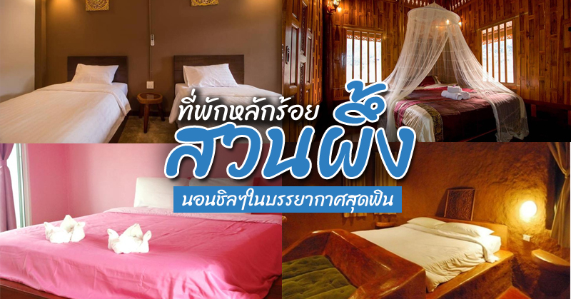 top 6+ ที่พักสวนผึ้งราคาถูก ราคาหลักร้อย นอนชิลๆในบรรยากาศสุดฟิน