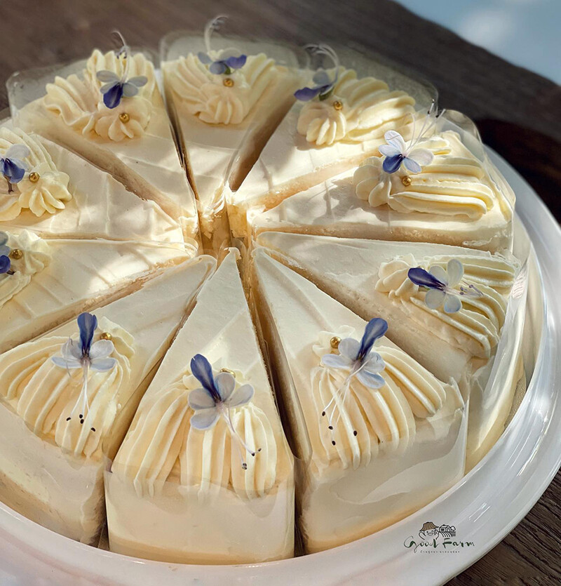 top 8+ คาเฟ่กำแพงเพชร 2567 คาเฟ่ในเมือง เปิดใหม่ ถ่ายรูปสวย