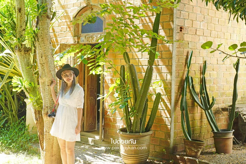 ม่อนแจ่ม, ร้านกาแฟม่อนแจ่ม, คาเฟ่ม่อนแจ่ม, thongma studio, คาเฟ่แม่ริม, thongma studio คาเฟ่ฮิปกลางป่า ย่านแม่ริม