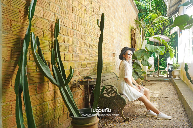 ม่อนแจ่ม, ร้านกาแฟม่อนแจ่ม, คาเฟ่ม่อนแจ่ม, thongma studio, คาเฟ่แม่ริม, thongma studio คาเฟ่ฮิปกลางป่า ย่านแม่ริม