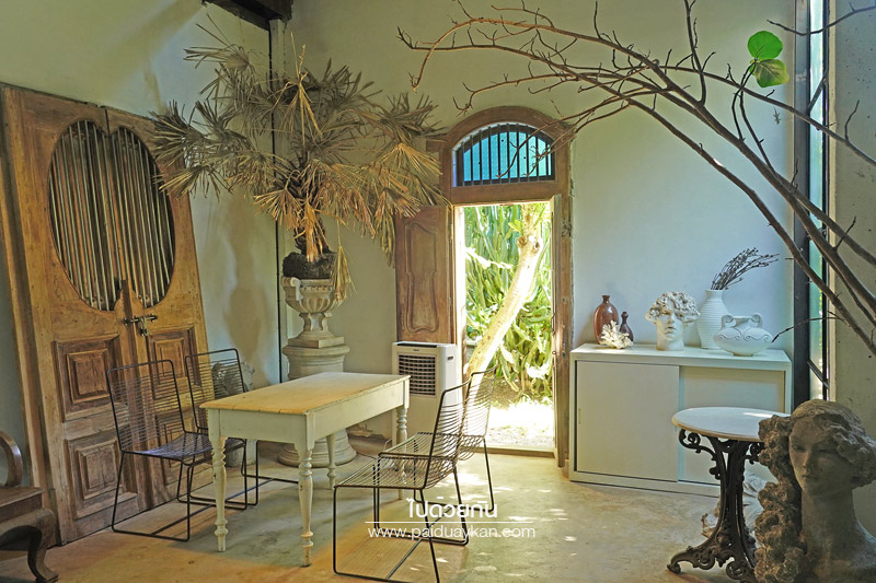 ม่อนแจ่ม, ร้านกาแฟม่อนแจ่ม, คาเฟ่ม่อนแจ่ม, thongma studio, คาเฟ่แม่ริม, thongma studio คาเฟ่ฮิปกลางป่า ย่านแม่ริม