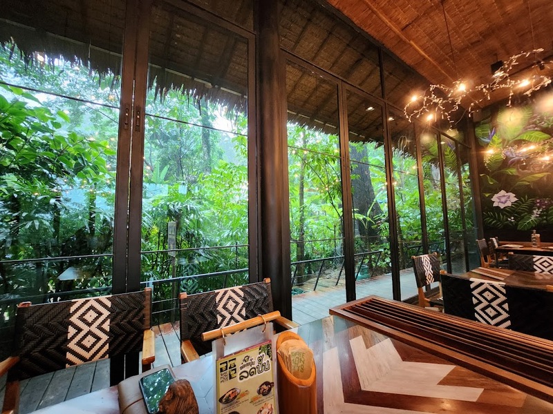 [hkolu8ik, ban leng coffee, bangjiam backyard cafe, bix cafe, cafe phuket, campus coffee roaster, cheevit cheeva, coming home cafe, coming home cafe & seascape, cozy cafe phuket, day & night of phuket, hohiho phuket, hohiho restaurant & cafe phuket, hommori, hosay bowl, hosay bowl phuket town, jule cafe, jule coffee co, lay cafe phuket, ma doo bua cafe, phuket view point cafe, pink cafe phuket, refresh cafe, roôf pudding & cafe, samutr bar, sea clam cafe & bistro, smile bar, smile restaurant, starbucks arinara, tarzan seaside cafe, the beach by starbucks, the cozy cafe phuket, the ruby sea cafe, tree monkeys restaurant, waylany kids cafe, คาเฟ่ สี, คาเฟ่ ใกล้ฉัน, คาเฟ่จังหวัดภูเก็ต, คาเฟ่ต้นไม้, คาเฟ่ภูเก็ต, คาเฟ่ภูเก็ต 2023, คาเฟ่ภูเก็ต 2566, คาเฟ่ริมทะเลภูเก็ต, คาเฟ่ลับภูเก็ต, คาเฟ่เปิดใหม่, คาเฟ่เปิดใหม่ภูเก็ต, คาเฟ่ใกล้ฉัน, คาเฟ่ในภูเก็ต, คาเฟ่ในภูเก็ต 2023, คาเฟ่ในภูเก็ต 2566, ชีวิตชีวา คาเฟ่, ทรีมังกี้ส์, บ้านสีครามคาเฟ่, บ้านเลงคาเฟ่, ภูเก็ต, มาดูบัว คาเฟ่, ย่านเมืองเก่าภูเก็ต, สตาร์บัคริมทะเล, สมุทรบาร์, โฮมโมริ, top 25+ คาเฟ่ภูเก็ต [กรกฎาคม 2024] ชิมอาหารรสเด็ด ดื่มกาแฟดี ท่ามกลางบรรยากาศสุดชิลล์บนเกาะ