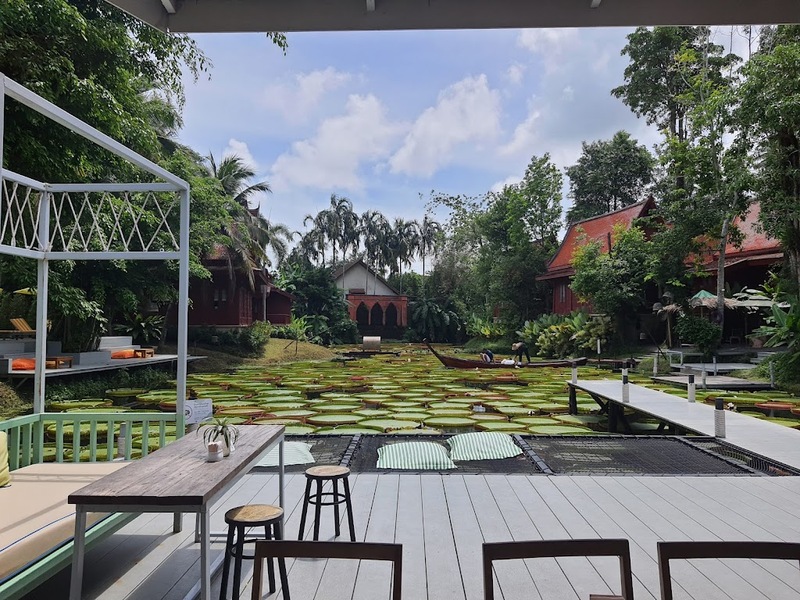 [hkolu8ik, ban leng coffee, bangjiam backyard cafe, bix cafe, cafe phuket, campus coffee roaster, cheevit cheeva, coming home cafe, coming home cafe & seascape, cozy cafe phuket, day & night of phuket, hohiho phuket, hohiho restaurant & cafe phuket, hommori, hosay bowl, hosay bowl phuket town, jule cafe, jule coffee co, lay cafe phuket, ma doo bua cafe, phuket view point cafe, pink cafe phuket, refresh cafe, roôf pudding & cafe, samutr bar, sea clam cafe & bistro, smile bar, smile restaurant, starbucks arinara, tarzan seaside cafe, the beach by starbucks, the cozy cafe phuket, the ruby sea cafe, tree monkeys restaurant, waylany kids cafe, คาเฟ่ สี, คาเฟ่ ใกล้ฉัน, คาเฟ่จังหวัดภูเก็ต, คาเฟ่ต้นไม้, คาเฟ่ภูเก็ต, คาเฟ่ภูเก็ต 2023, คาเฟ่ภูเก็ต 2566, คาเฟ่ริมทะเลภูเก็ต, คาเฟ่ลับภูเก็ต, คาเฟ่เปิดใหม่, คาเฟ่เปิดใหม่ภูเก็ต, คาเฟ่ใกล้ฉัน, คาเฟ่ในภูเก็ต, คาเฟ่ในภูเก็ต 2023, คาเฟ่ในภูเก็ต 2566, ชีวิตชีวา คาเฟ่, ทรีมังกี้ส์, บ้านสีครามคาเฟ่, บ้านเลงคาเฟ่, ภูเก็ต, มาดูบัว คาเฟ่, ย่านเมืองเก่าภูเก็ต, สตาร์บัคริมทะเล, สมุทรบาร์, โฮมโมริ, top 25+ คาเฟ่ภูเก็ต [กรกฎาคม 2024] ชิมอาหารรสเด็ด ดื่มกาแฟดี ท่ามกลางบรรยากาศสุดชิลล์บนเกาะ